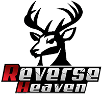 Команда Reverse Heaven. Состав Dota 2