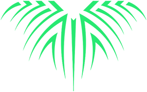 Roots Gaming – CS2 (CS:GO) Équipe