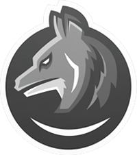 rozu – CS2 (CS:GO) Équipe