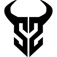 Команда S2 Esports. Состав Valorant