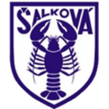 Salkova Football Team