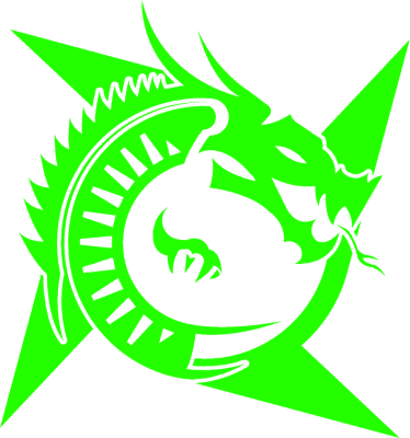 Equipo Salt Esports. Composición De Valorant