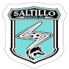 Equipo Saltillo FC. Composición De Football