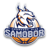 Equipo Samobor. Composición De Basketball