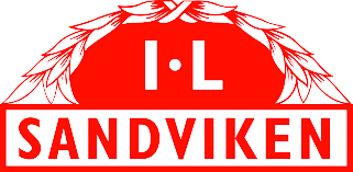 Equipo Sandvikens. Composición De Football