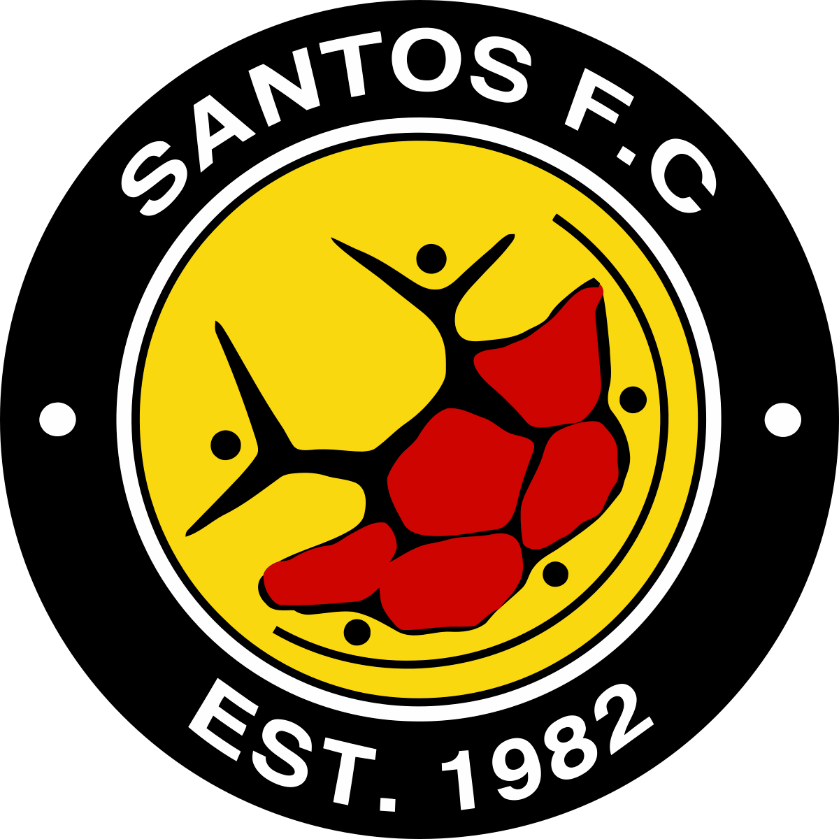 Santos Cape Town – Football Team