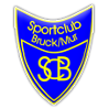 Equipo Stadtwerke Bruck/Mur. Composición De Football