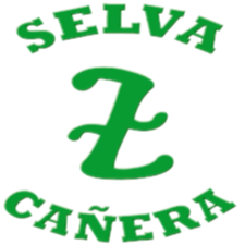 Equipo Selva Canera. Composición De Football