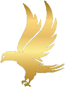 Shaheens, склад з Rainbow 6