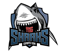 Equipo Sharks Esports. Composición De Valorant