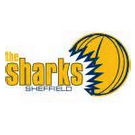 Sheffield Sharks – Basketball Équipe
