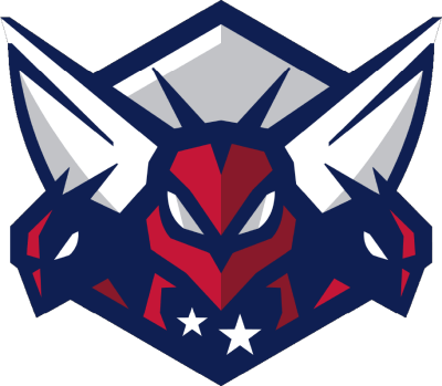 Drużyna Shenandoah Esports. Skład Overwatch