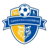Shenyang Hepingler U13 – Football Team