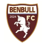 Shenzhen Saizhuo – Football Team