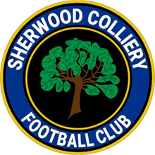 Sherwood Colliery – Football Team