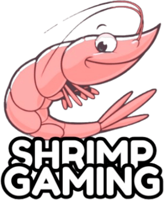 Shrimp Gaming – Valorant Team
