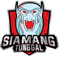 Siamang Tunggal Dota 2队