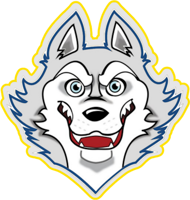 Equipo Siena Heights University. Composición De Overwatch