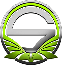 Team Singularity, склад з Dota 2