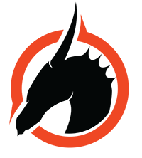 Drużyna Skyfire. Skład CS2 (CS:GO)