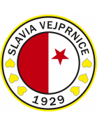 Vejprnice – Football Team