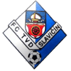 Equipo Slavičín. Composición De Football