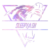 SleepyAsh, склад з Dota 2