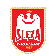 Equipo Ślęza Wrocław (f). Composición De Football