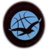 Hold Sokhumi. Opstilling Basketball
