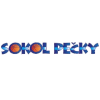 Команда Сокол Pecky Women. Состав Basketball