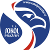 Команда Сокол Prazsky. Состав Basketball