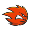 Equipo Soles de Mexicali. Composición De Basketball