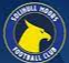Equipo Solihull Moors (f). Composición De Football