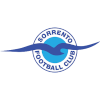 Equipo Sorrento Women. Composición De Football