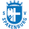 Drużyna Spakenburg. Skład Football