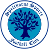Hold Spelthorne Sports. Opstilling Football