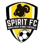 Equipo Espíritu de NWS (F). Composición De Football