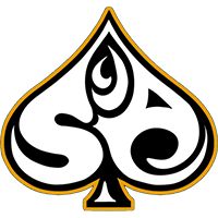 Команда Squad Of Aces Blaze. Состав Valorant