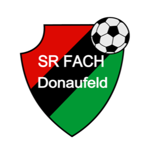 Equipo Donji Srem. Composición De Football