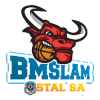 Stal Ostrow Wielkopolski Basketball Team