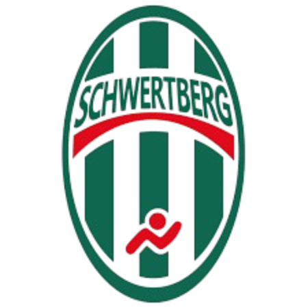 Hold Steinbach Schwertberg. Opstilling Football
