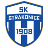 Hold Strakonice. Opstilling Football