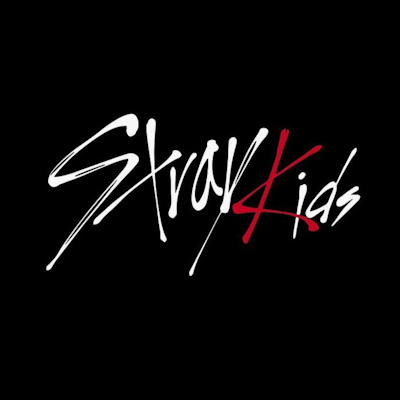 straykids – CS2 (CS:GO) Équipe