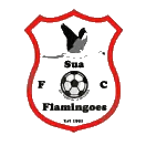 苏阿火烈鸟队 Football队