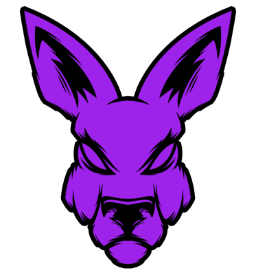 suxeN – CS2 (CS:GO) Team
