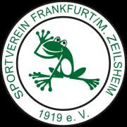 Equipo Zeilsheim. Composición De Football