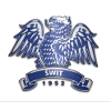 Equipo Swit Skolwin. Composición De Football