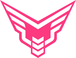 Take Flyte – Rocket League