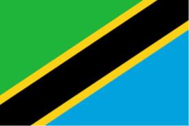 Hold Tanzania U17. Opstilling Football