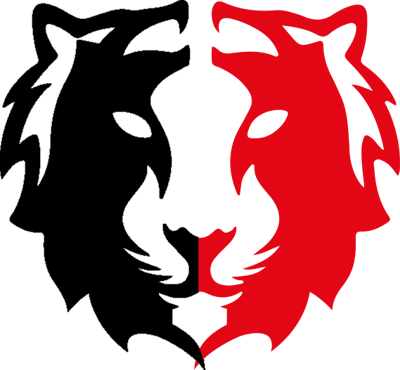 Equipo TBO Esports. Composición De CS2 (CS:GO)